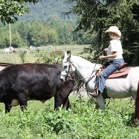 French Broad Outpost Ranch Del Rio Bagian luar foto